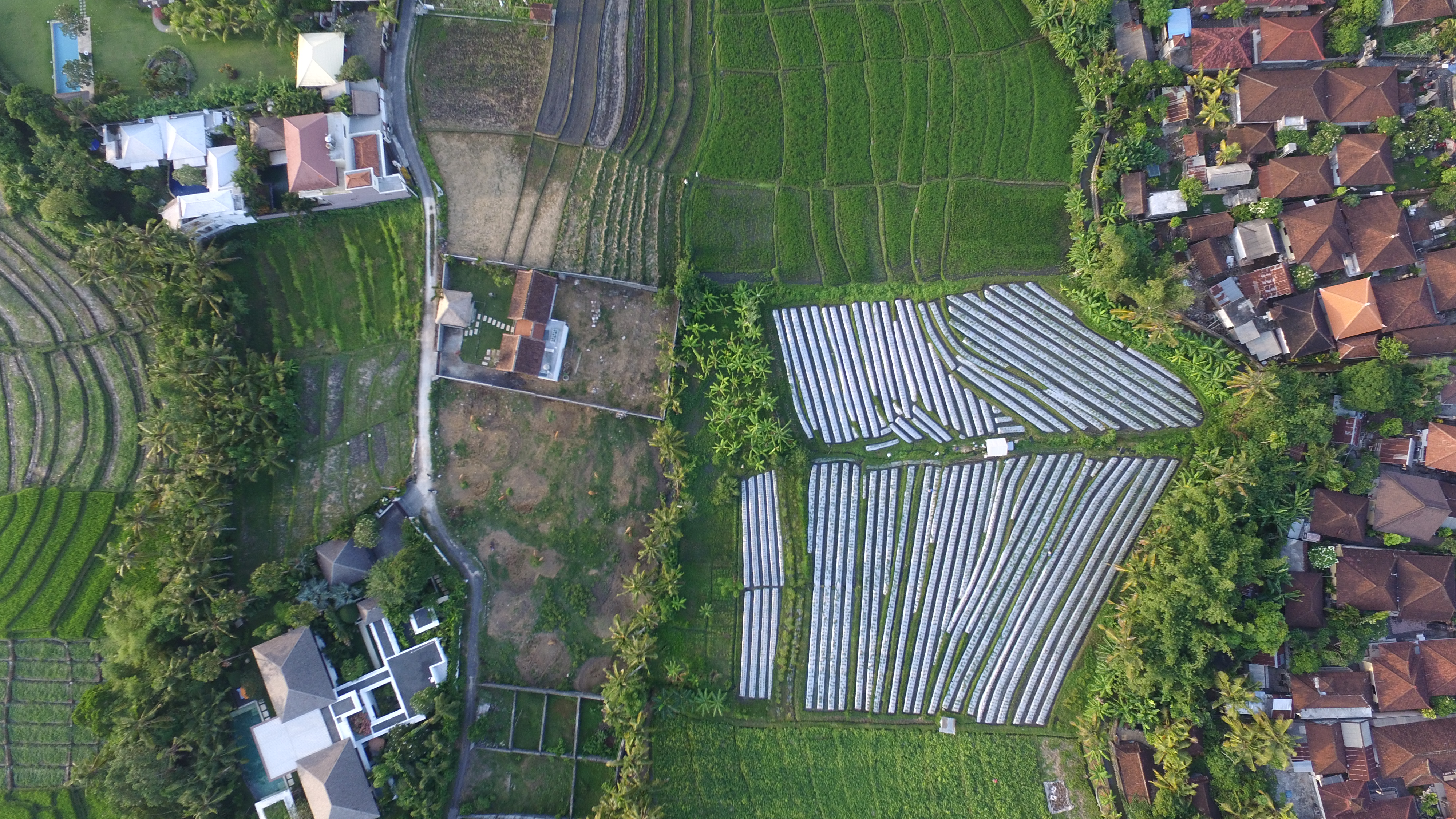 lease-hold-land-canggu-70-ara